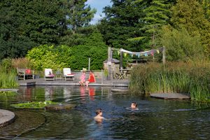 natural pools biotop-swimming-teich-ellicar-su%cc%88d-yorkshire-grosbritannien